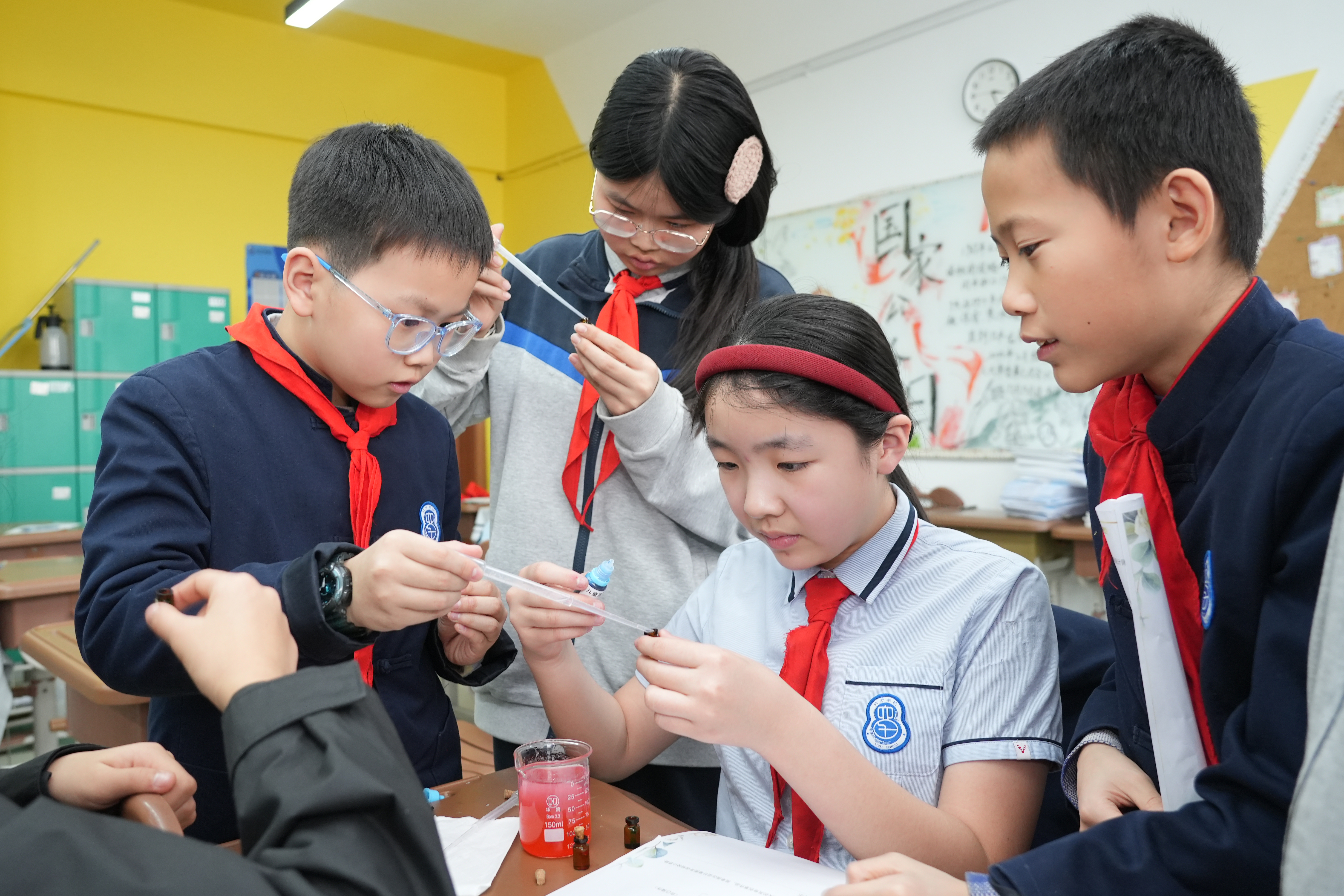六力学校初中部小初衔接课：科学探索之旅，衔接未来成长