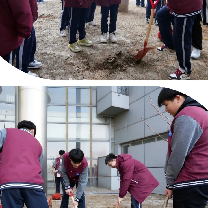 植绿润心 六力赋能——六力高级中学植树节实践活动纪实